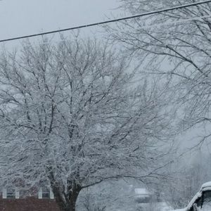 Meet your Posher, Kira